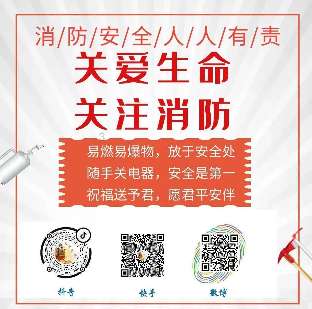 端午节的来历和风俗游戏画面
